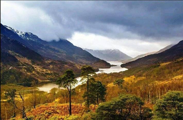 Forest View Guest House Kinlochleven Kültér fotó